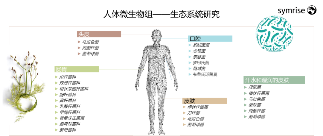 中國美容博覽會(huì)